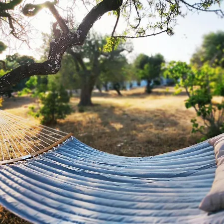 Trulivo * مونوبولي