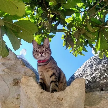 Trulivo مزرعة للإقامة *