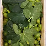 Trulivo בית חווה