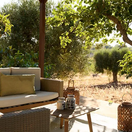 Trulivo 팜스테이