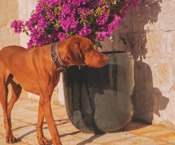 Trulivo ファームステイ モノーポリ